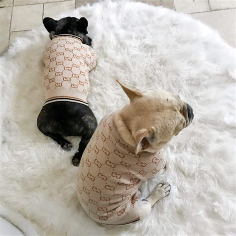 gucci sweater for dogs|Designer Luxury Wool Sweaters for Women .